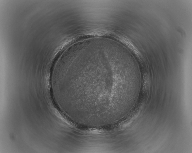 X0000113000585200909031255