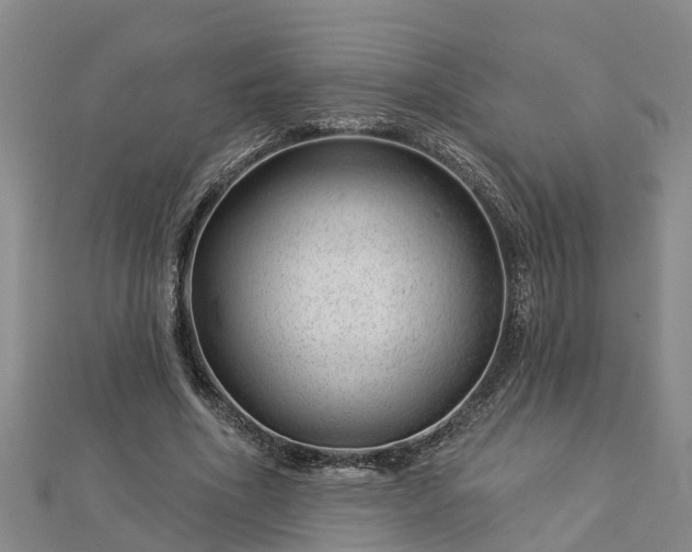 X0000113000586200909031255