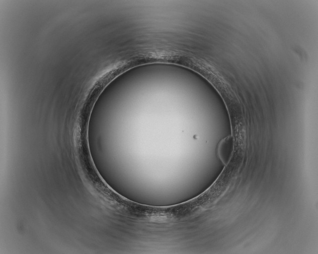 X0000113000587200909031255