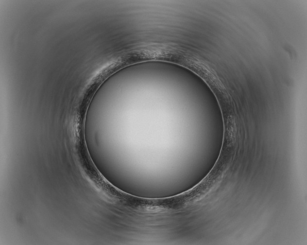 X0000113000590200909031255