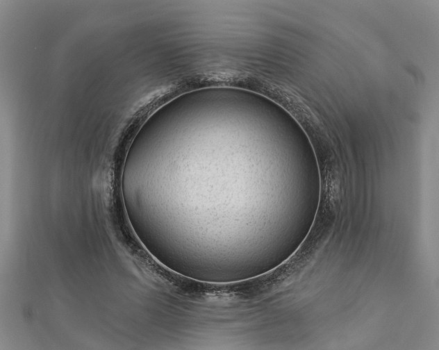 X0000113000591200909031255