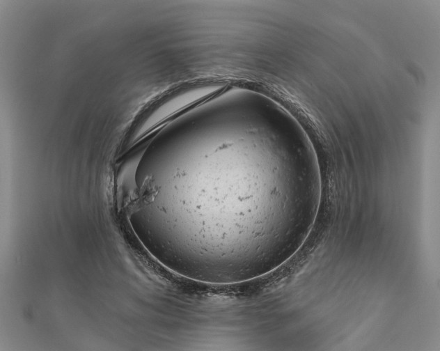 X0000113000592200909031255