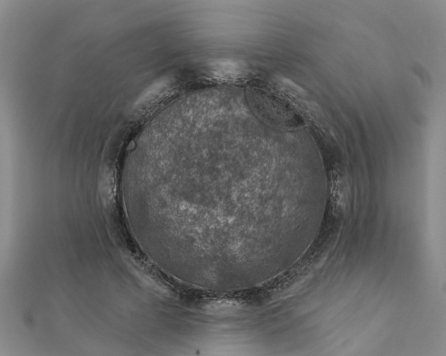 X0000113000593200909031255