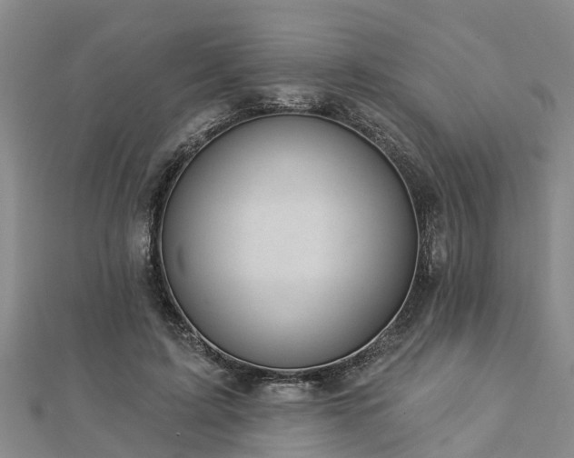 X0000113000595200909031255