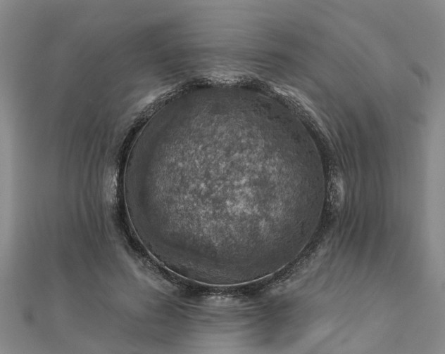 X0000113000596200909031255