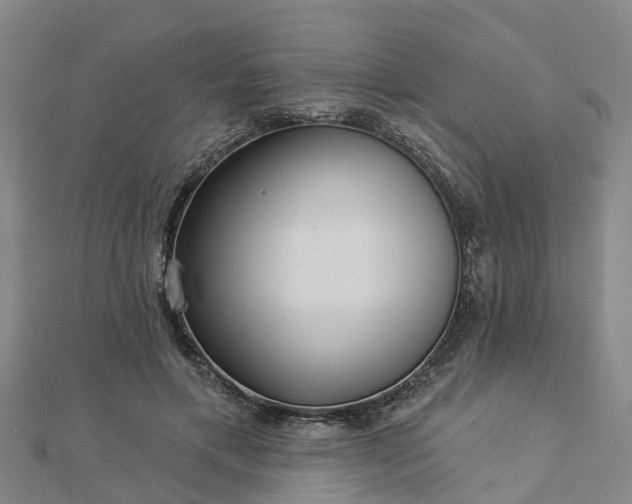 X0000113000597200909031255