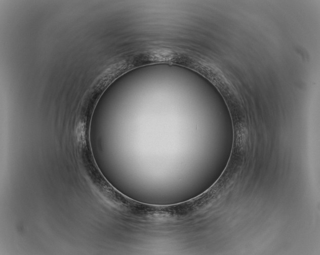 X0000113000598200909031255