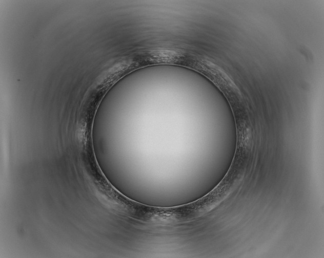 X0000113000599200909031255