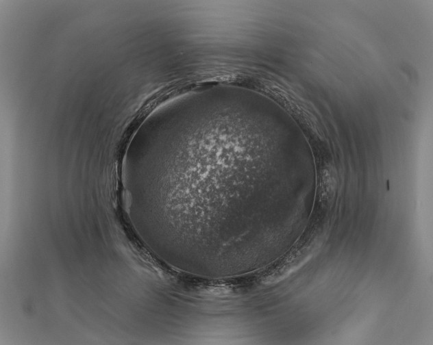 X0000113000600200909031255