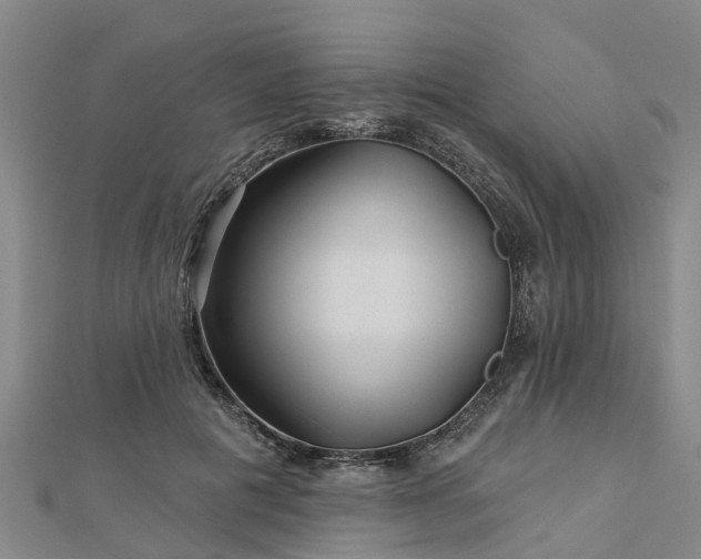 X0000113000601200909031255