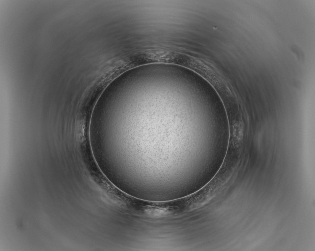 X0000113000602200909031255