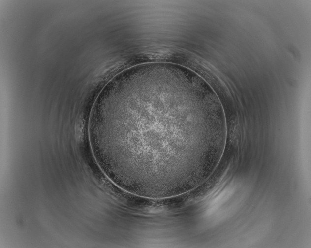 X0000113000604200909031255