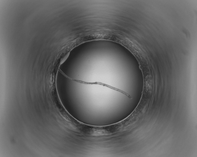 X0000113000605200909031255