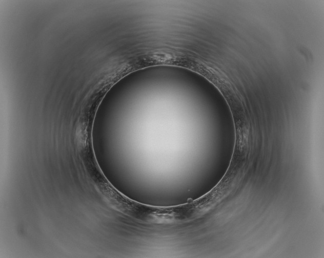 X0000113000606200909031255