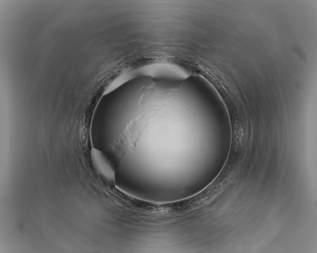 X0000113000609200909031254