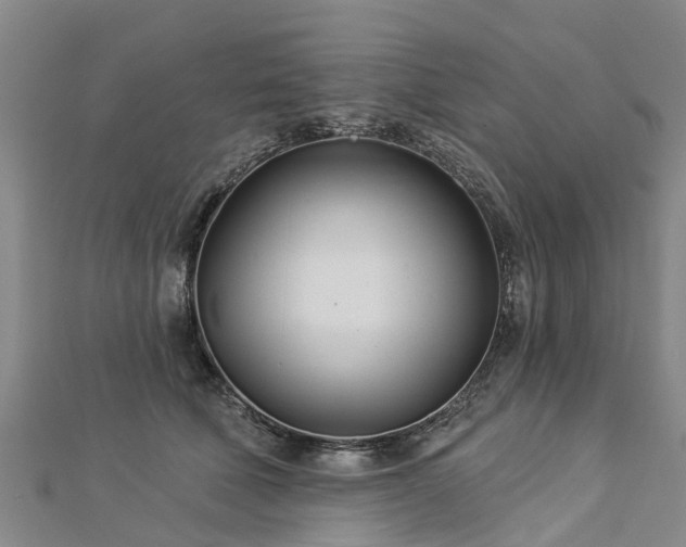 X0000113000610200909031254