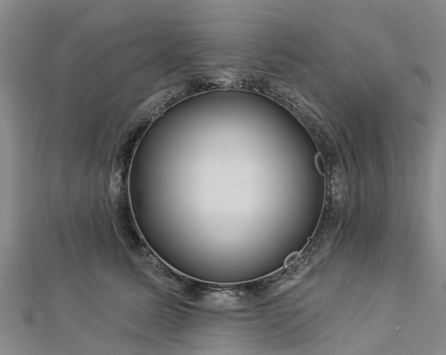 X0000113000611200909031254