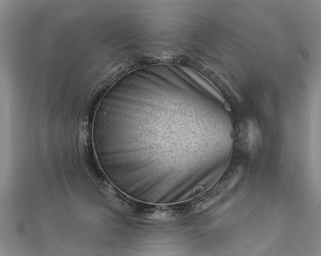 X0000113000612200909031254