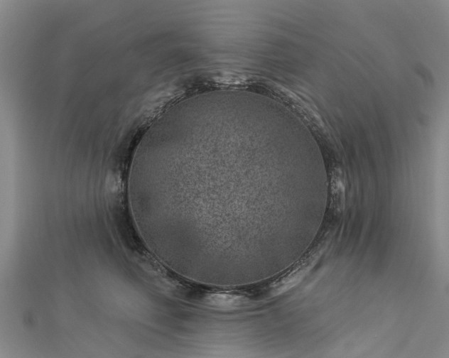 X0000113000614200909031254