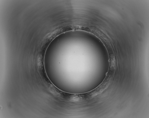 X0000113000616200909031254