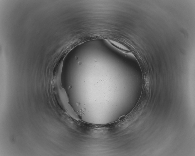 X0000113000617200909031254