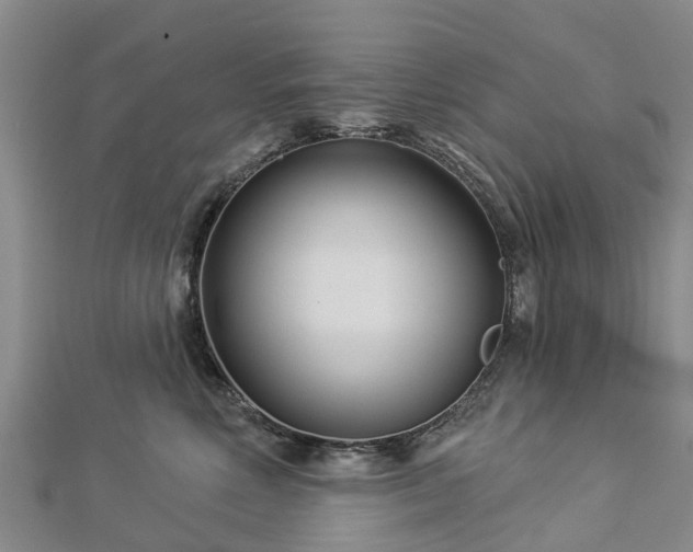 X0000113000618200909031254