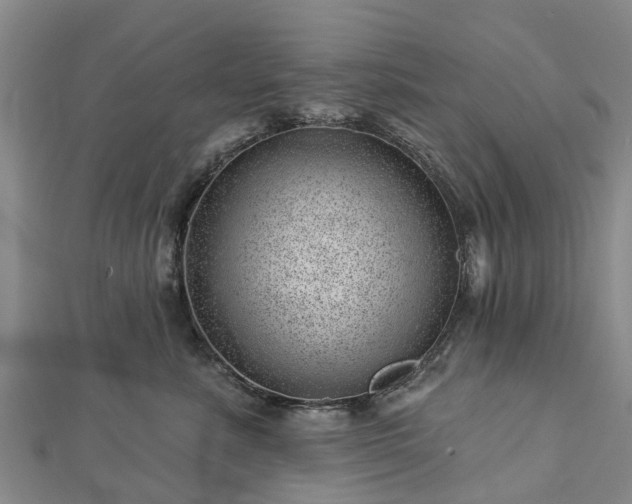 X0000113000619200909031254