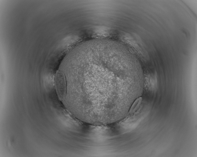 X0000113000621200909031254