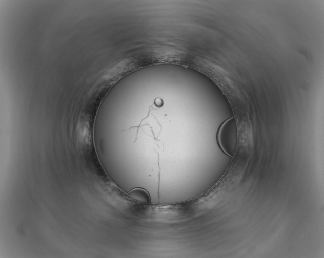 X0000113000622200909031254