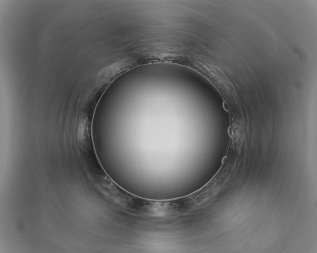 X0000113000623200909031254