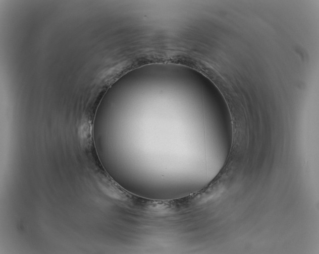 X0000113000624200909031254