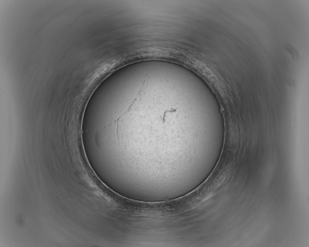 X0000113000625200909031254