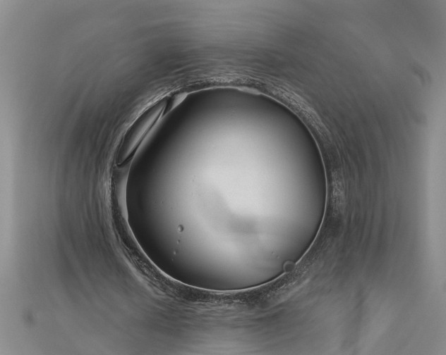 X0000113000626200909031254