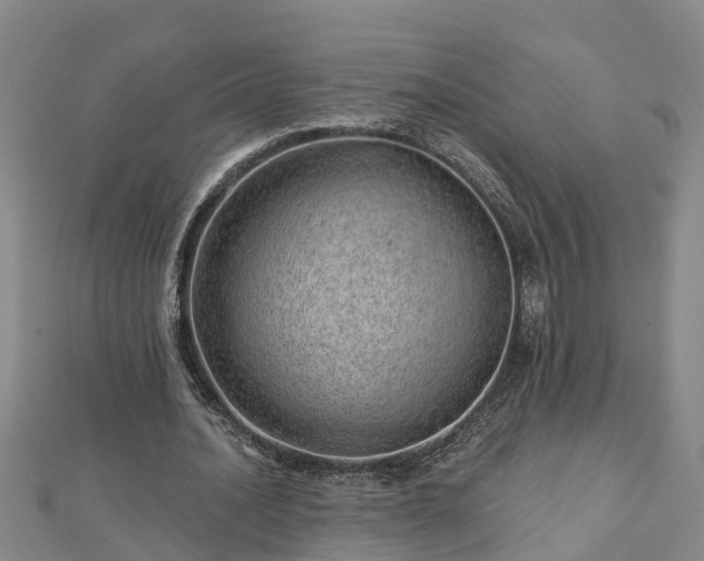 X0000113000628200909031254