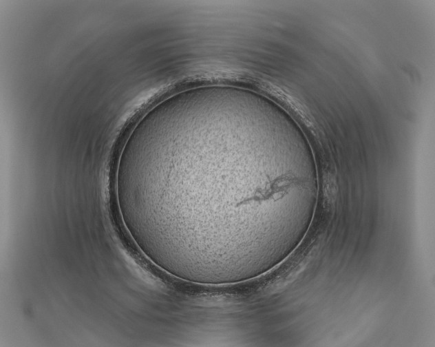 X0000113000629200909031254