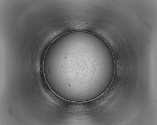 X0000113000631200909031254