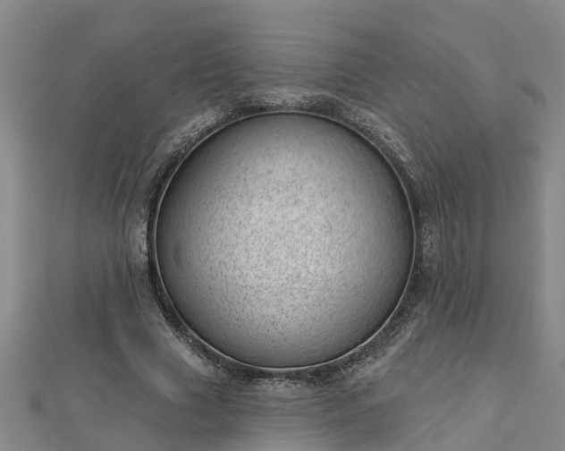 X0000113000633200909031254