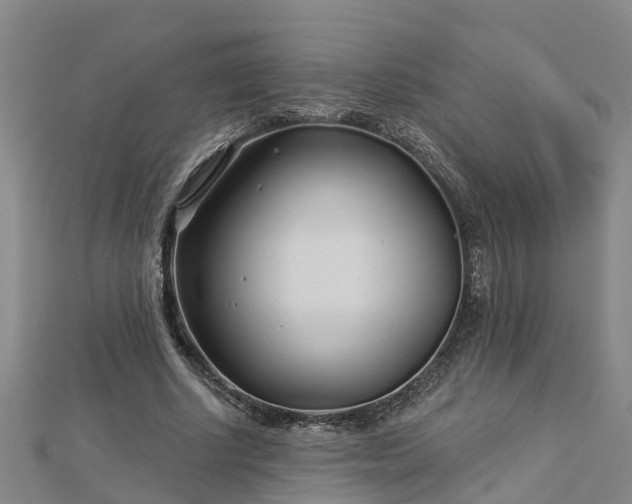 X0000113000634200909031254