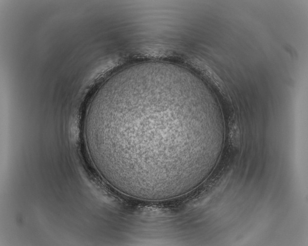 X0000113000635200909031254