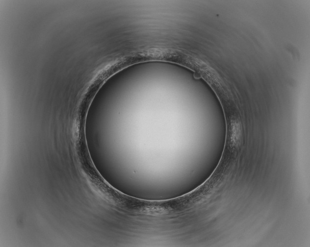 X0000113000636200909031254