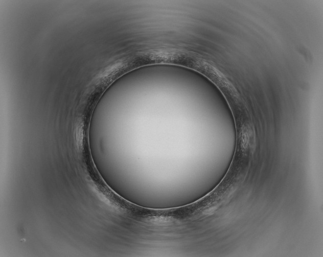 X0000113000637200909031254