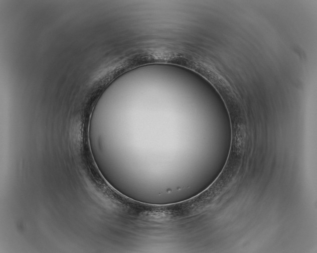 X0000113000639200909031254