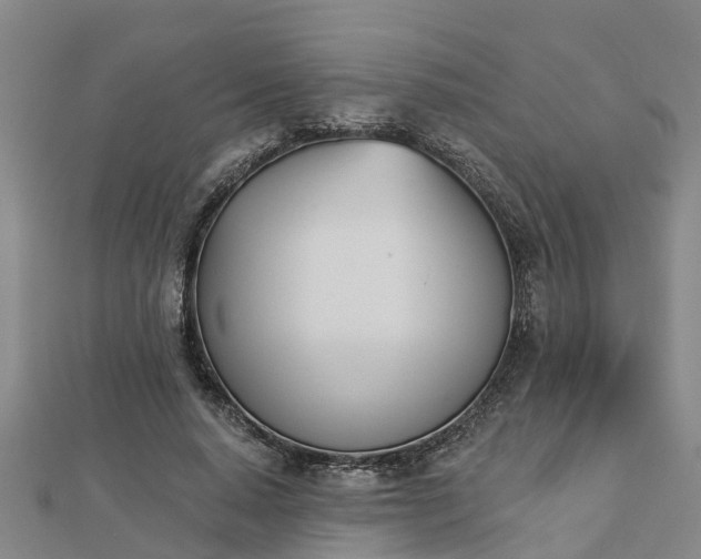 X0000113000640200909031254