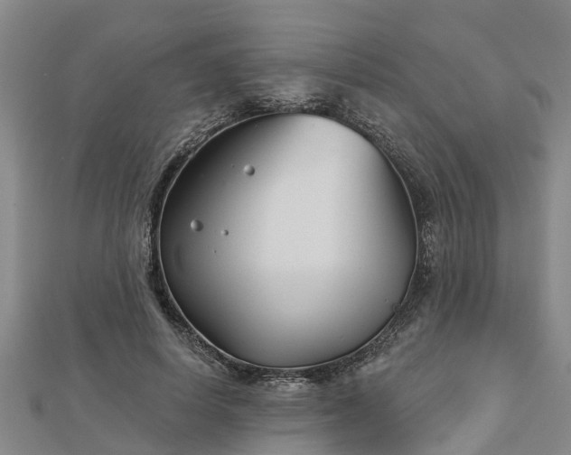 X0000113000642200909031254