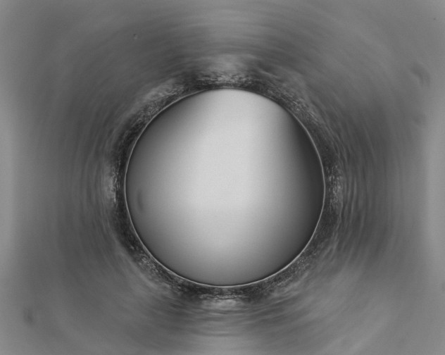 X0000113000643200909031254