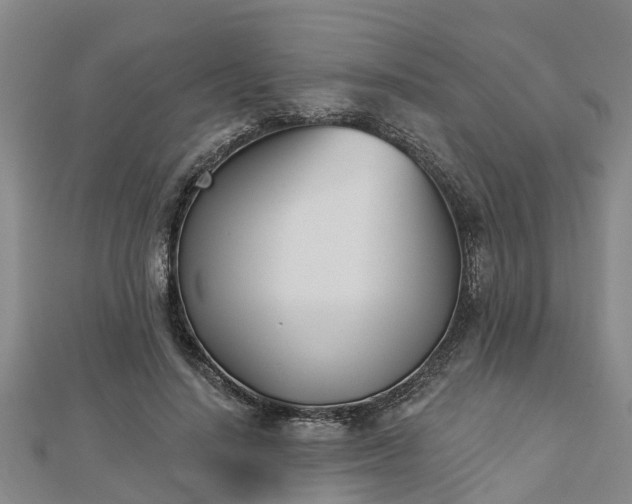 X0000113000644200909031254