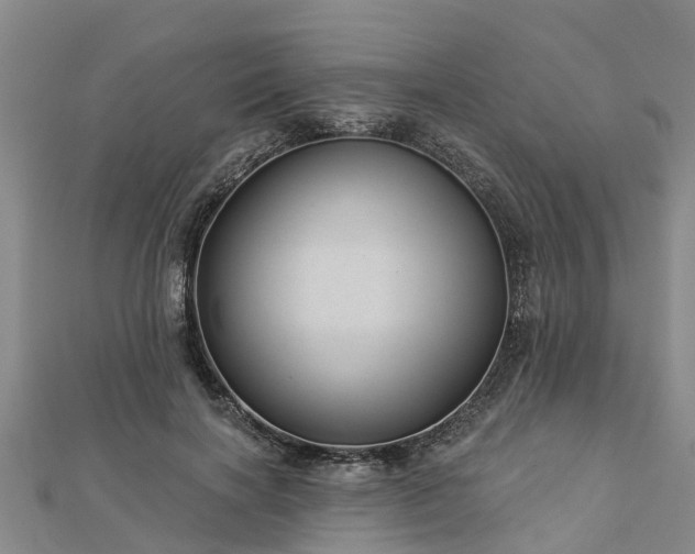 X0000113000646200909031254