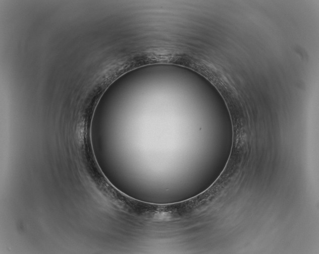 X0000113000647200909031254