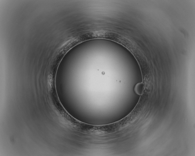 X0000113000648200909031254