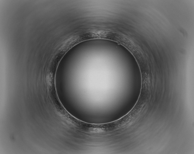 X0000113000649200909031254